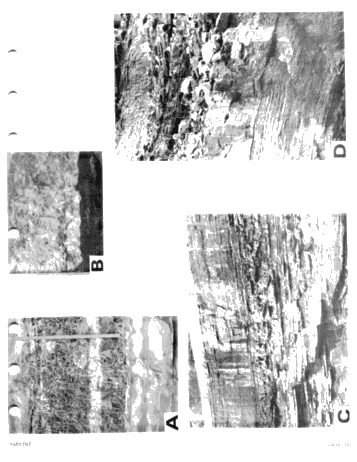 Environments of Deposition of The Medina (Grimsby) Formation and Exploration for Hydrocarbons Page 17