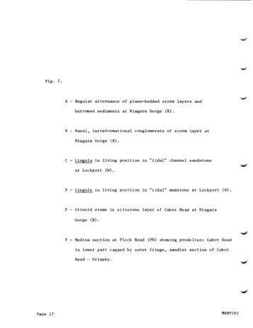 Environments of Deposition of The Medina (Grimsby) Formation and Exploration for Hydrocarbons Page 18