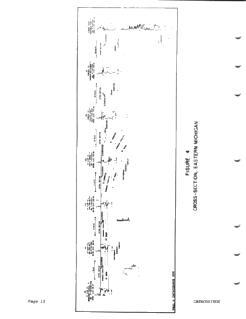 Cambrian and Cambro-Ordovician Stratigraphic Framework of the Michigan Basin Page 12
