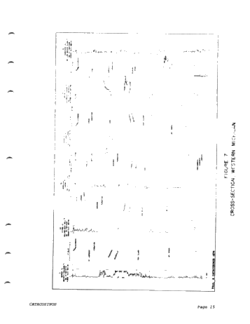 Cambrian and Cambro-Ordovician Stratigraphic Framework of the Michigan Basin Page 15