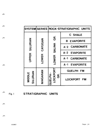 The Lower Salina (Upper Silurian) Stratigraphy in a Dessicated, Deep Michigan Basin Page 19