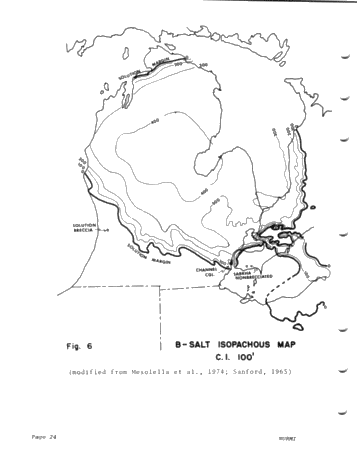 The Lower Salina (Upper Silurian) Stratigraphy in a Dessicated, Deep Michigan Basin Page 24