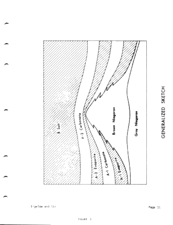 High-Resolution Dipmeter Uses in Michigan's Niagaran Reefs (Co- Author: John W. Cox) Page 11