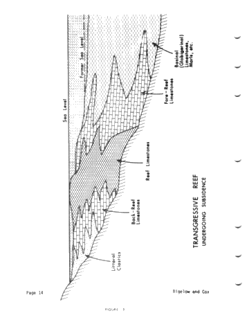 High-Resolution Dipmeter Uses in Michigan's Niagaran Reefs (Co- Author: John W. Cox) Page 14