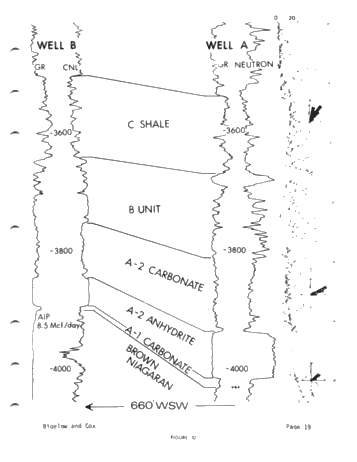 High-Resolution Dipmeter Uses in Michigan's Niagaran Reefs (Co- Author: John W. Cox) Page 19