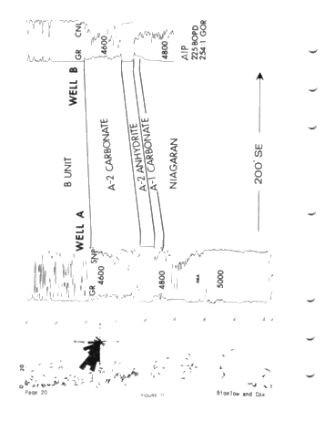 High-Resolution Dipmeter Uses in Michigan's Niagaran Reefs (Co- Author: John W. Cox) Page 20