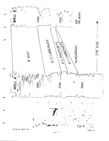 High-Resolution Dipmeter Uses in Michigan's Niagaran Reefs (Co- Author: John W. Cox) Page 21