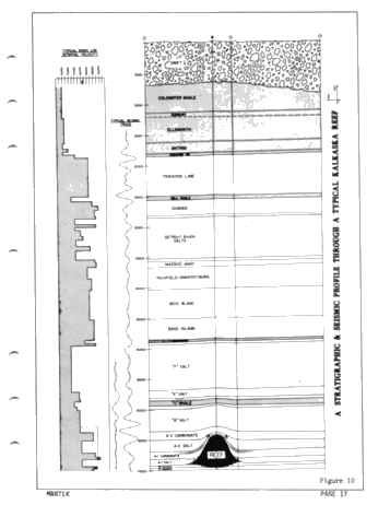 Recent Exploration Activity in Michigan Page 15