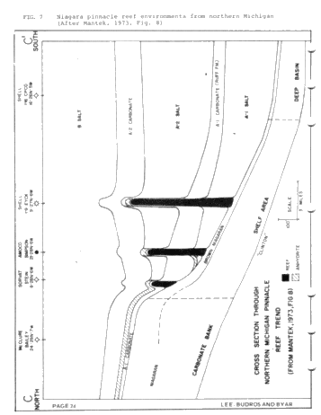 Geologic and Seismic Reef Proximity Indicators: Some Silurian Examples From the Michigan Basin Page 24