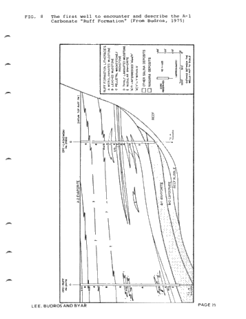 Geologic and Seismic Reef Proximity Indicators: Some Silurian Examples From the Michigan Basin Page 25
