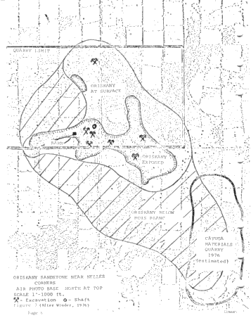 The Petrography of the Oriskany and Springvale Sandstone Page 6