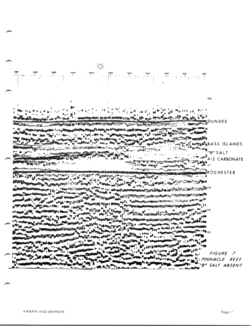Seismic Exploration for Silurian Reefs in Ontario Page 7