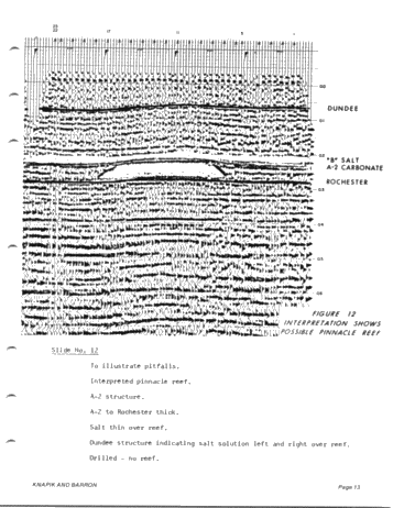 Seismic Exploration for Silurian Reefs in Ontario Page 13