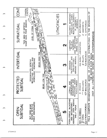 Lower and Middle Devonian Strata of the Moose River Basin Ontario Page 17