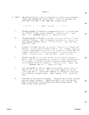 Lower and Middle Devonian Strata of the Moose River Basin Ontario Page 20