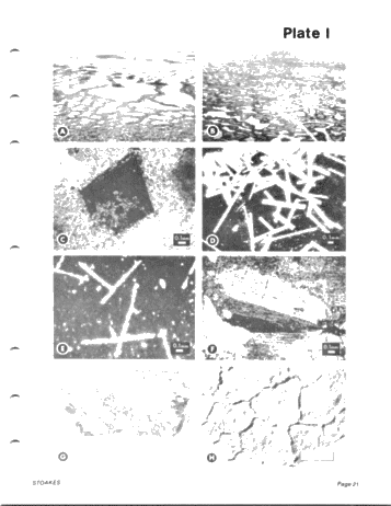 Lower and Middle Devonian Strata of the Moose River Basin Ontario Page 21