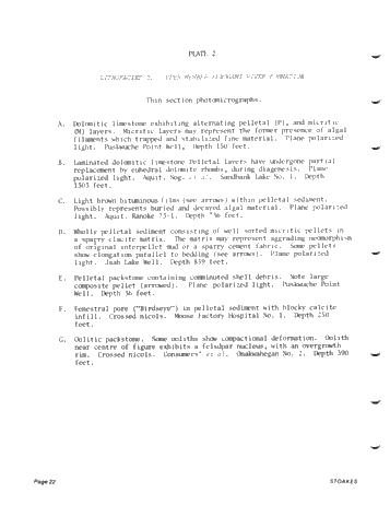 Lower and Middle Devonian Strata of the Moose River Basin Ontario Page 22