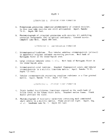 Lower and Middle Devonian Strata of the Moose River Basin Ontario Page 24