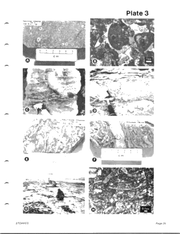 Lower and Middle Devonian Strata of the Moose River Basin Ontario Page 25