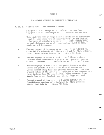 Lower and Middle Devonian Strata of the Moose River Basin Ontario Page 28
