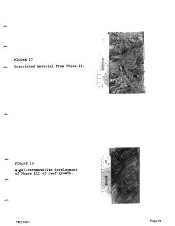 The Geology and Production History of the Petrolia East Pool Page 29