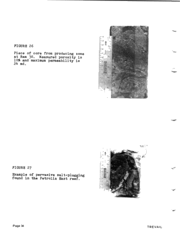 The Geology and Production History of the Petrolia East Pool Page 36