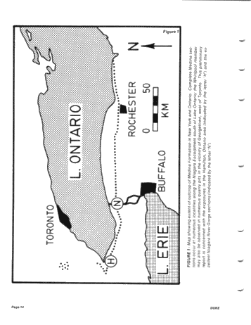 he "Type Locality of Hummocky Cross-Stratification the Storm Dominated Silurian Medina Formation in the Niagara Gorge, New York and Ontario Page 14