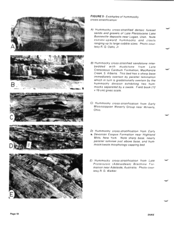he "Type Locality of Hummocky Cross-Stratification the Storm Dominated Silurian Medina Formation in the Niagara Gorge, New York and Ontario Page 18