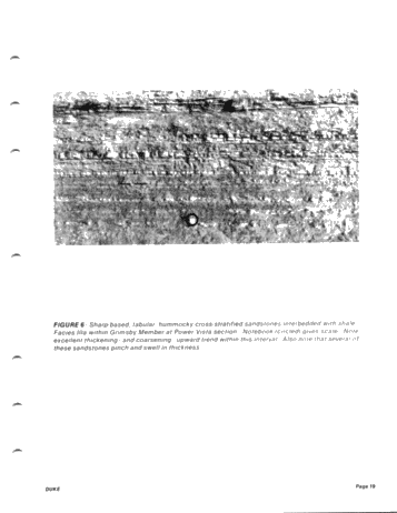 he "Type Locality of Hummocky Cross-Stratification the Storm Dominated Silurian Medina Formation in the Niagara Gorge, New York and Ontario Page 19