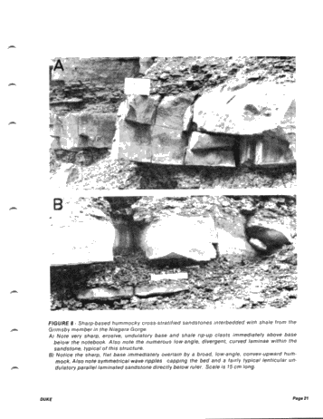 he "Type Locality of Hummocky Cross-Stratification the Storm Dominated Silurian Medina Formation in the Niagara Gorge, New York and Ontario Page 21
