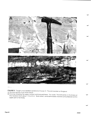 he "Type Locality of Hummocky Cross-Stratification the Storm Dominated Silurian Medina Formation in the Niagara Gorge, New York and Ontario Page 22