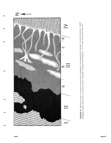 he "Type Locality of Hummocky Cross-Stratification the Storm Dominated Silurian Medina Formation in the Niagara Gorge, New York and Ontario Page 31