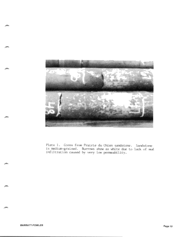 Cambro - Ordovician Hydrocarbons in the Central Michigan Basin Page 11