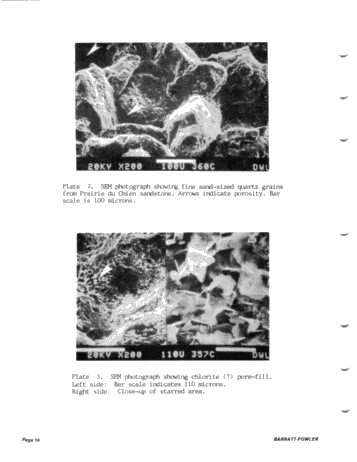 Cambro - Ordovician Hydrocarbons in the Central Michigan Basin Page 12