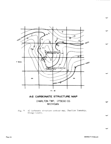 Cambro - Ordovician Hydrocarbons in the Central Michigan Basin Page 14