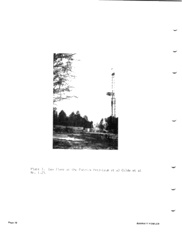 Cambro - Ordovician Hydrocarbons in the Central Michigan Basin Page 16