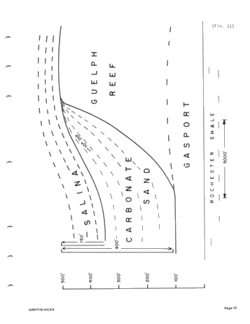 The Use of Dipmeters to Define Facies of the Guelph Within the Barrier Reef Complex of Lake Erie Page 15