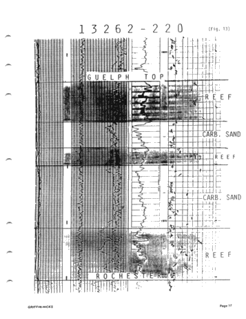 The Use of Dipmeters to Define Facies of the Guelph Within the Barrier Reef Complex of Lake Erie Page 17