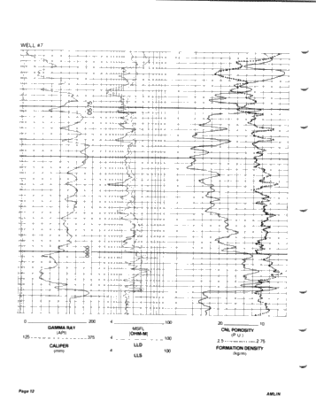 Estimating Formation Flow Rates With Downhole Logs Page 12