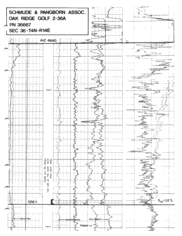 The Michigan Niagaran Reef Trend Still Exciting and Profitable Page 33