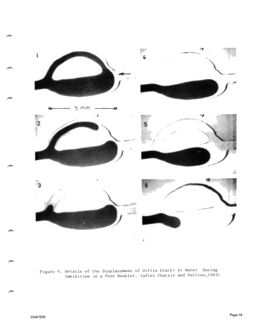 Visualization of Oil Displacement Mechanisms and Enhanced Oil Recovery Page 19