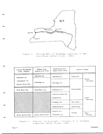 Devonian Reefs of New York State Page 11