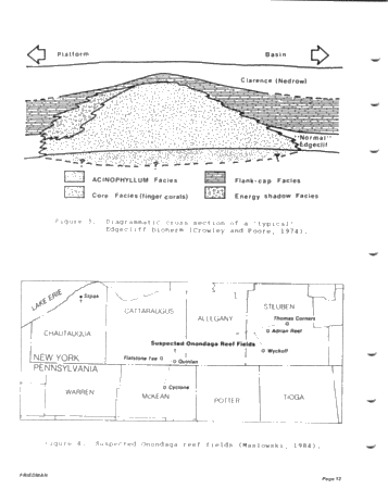 Devonian Reefs of New York State Page 12