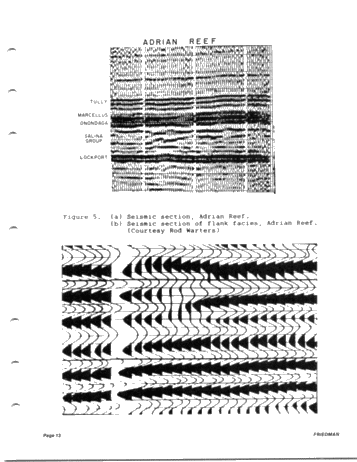 Devonian Reefs of New York State Page 13