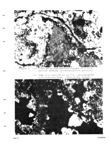 Devonian Reefs of New York State Page 15