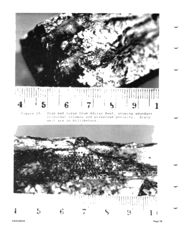 Devonian Reefs of New York State Page 18