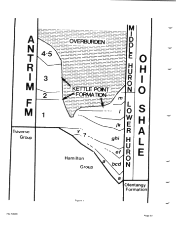 Oil Shale Potential of the Devonian Black Shales of Southwestern Ontario and James Bay Lowlands Page 14