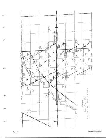 Geology and Geochemistry of the Trenton-Black River Formations of Southern Michigan Page 15