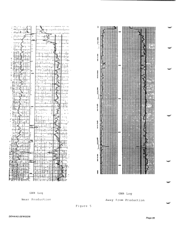 Geology and Geochemistry of the Trenton-Black River Formations of Southern Michigan Page 20