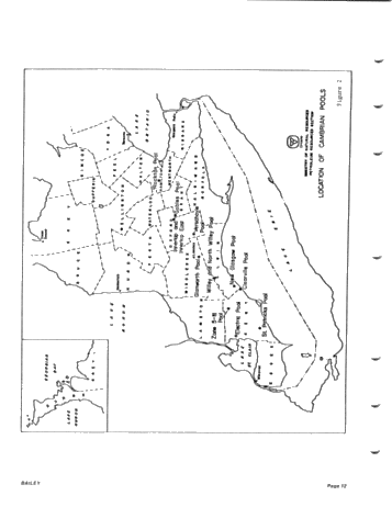 Hydrocarbon Potential and Trapping Mechanisms Trapping Mechanisms of the Cambro Ordovician in Ontario Page 12